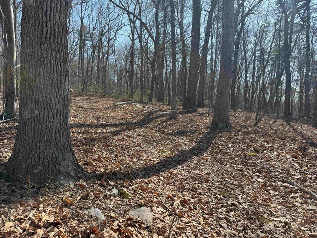 TBD Shotgun Spring Rd, New Market, VA 22844