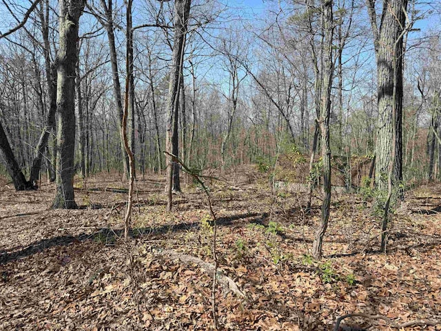TBD Shotgun Spring Rd, New Market, VA 22844