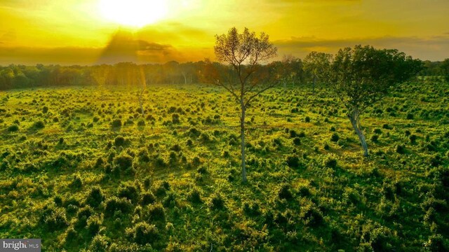  - photo 27