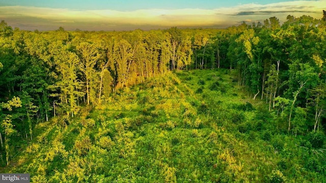  - photo 22
