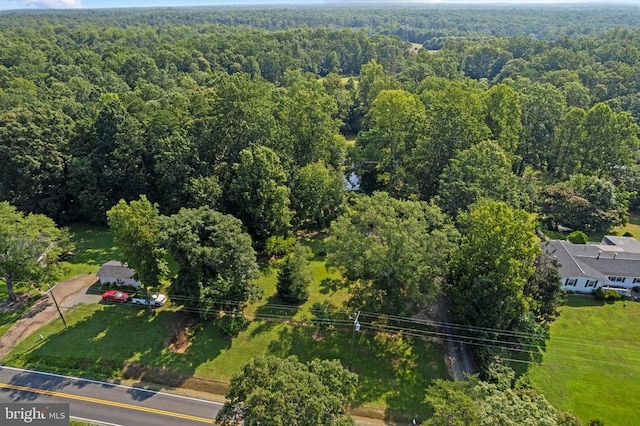  - bird's eye view of a forest