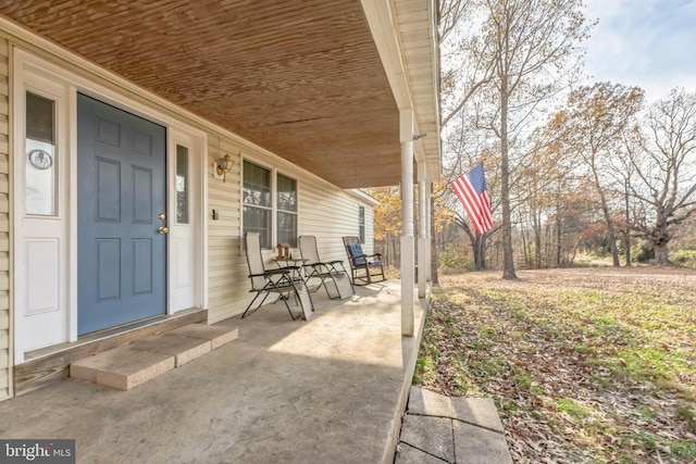 7599 Secretarys Sand Rd, Schuyler, VA 22969 - view of covered porch