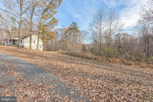 7599 Secretarys Sand Rd, Schuyler, VA 22969 - view of yard