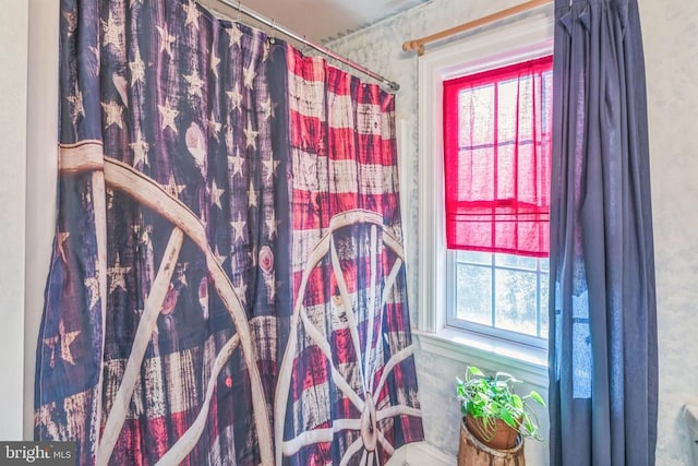 7599 Secretarys Sand Rd, Schuyler, VA 22969 - bathroom with plenty of natural light