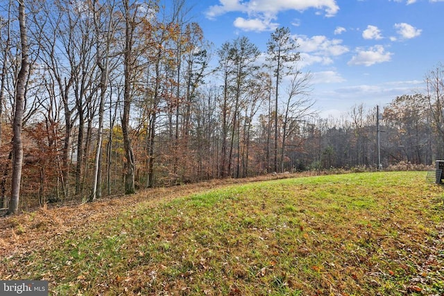 7599 Secretarys Sand Rd, Schuyler, VA 22969 - view of yard featuring a wooded view