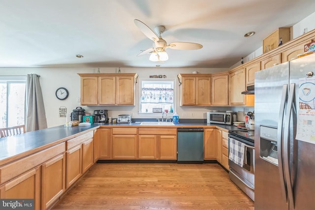 7599 Secretarys Sand Rd, Schuyler, VA 22969 - kitchen featuring stainless steel appliances, healthy amount of natural light, a sink, a ceiling fan, and recessed lighting