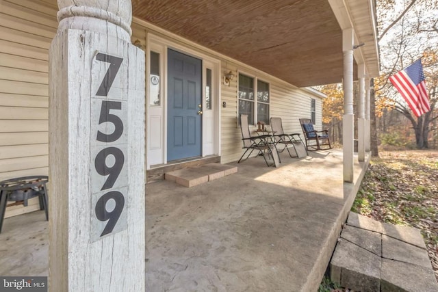 7599 Secretarys Sand Rd, Schuyler, VA 22969 - view of covered porch