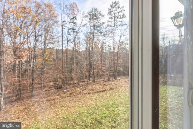 7599 Secretarys Sand Rd, Schuyler, VA 22969 - view of yard