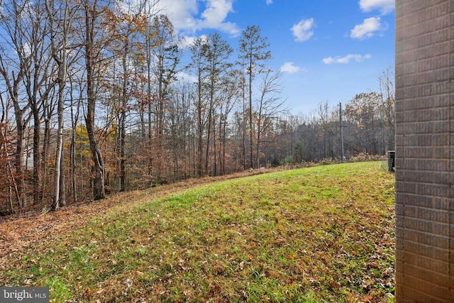 7599 Secretarys Sand Rd, Schuyler, VA 22969 - view of grassy yard with a view of trees