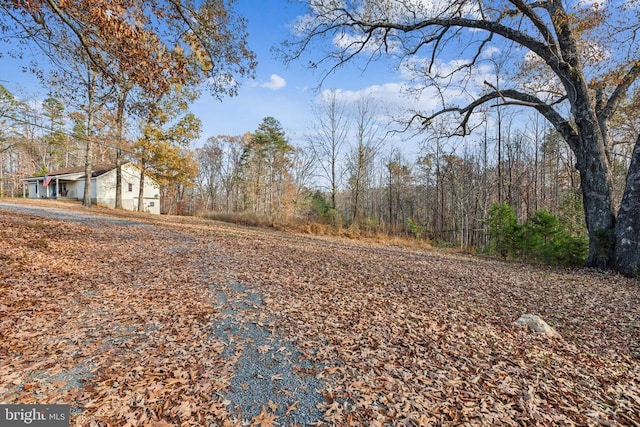 7599 Secretarys Sand Rd, Schuyler, VA 22969 - view of yard