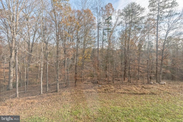 7599 Secretarys Sand Rd, Schuyler, VA 22969 - view of woods