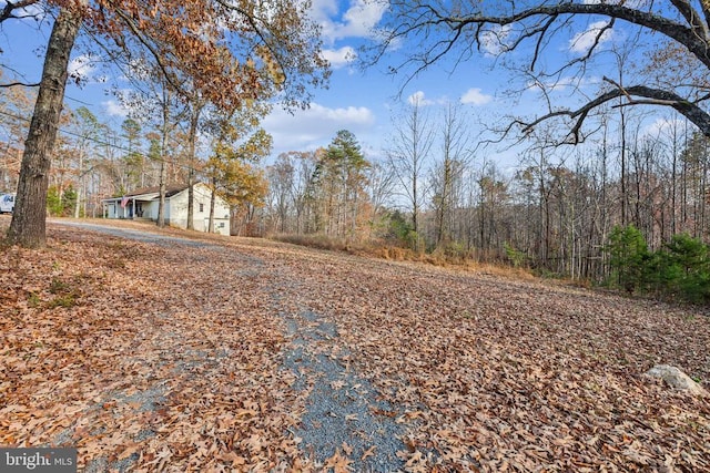 7599 Secretarys Sand Rd, Schuyler, VA 22969 - view of yard