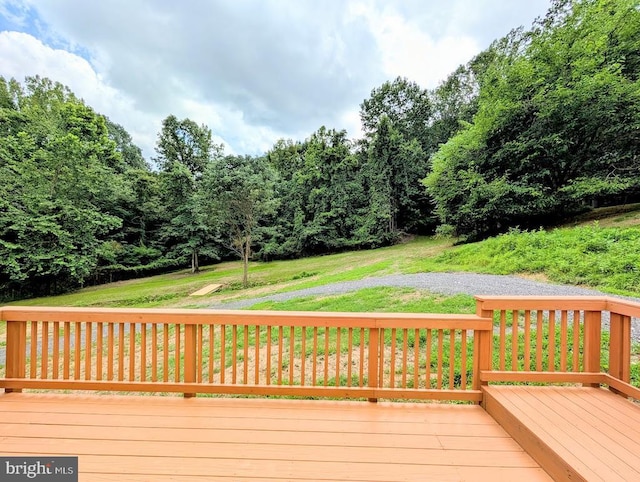 1032 Deal Pl, Amissville, VA 20106 - photo 25