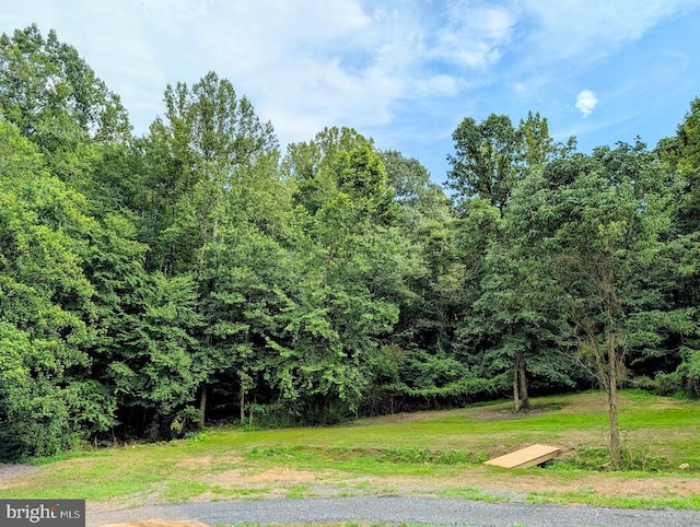 1032 Deal Pl, Amissville, VA 20106 - photo 51