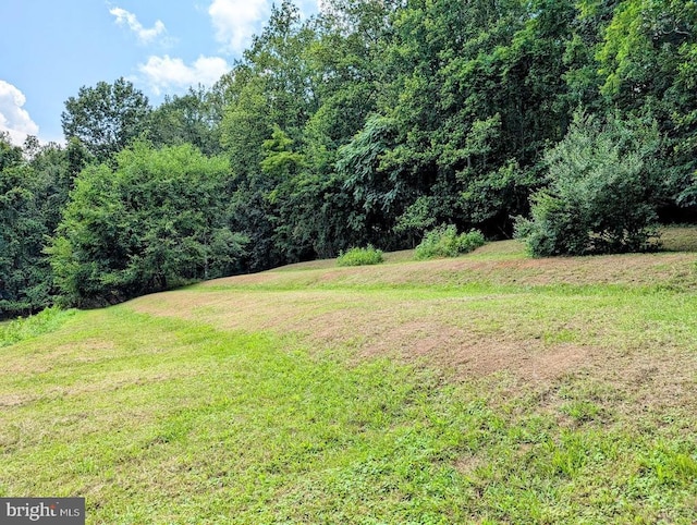 1032 Deal Pl, Amissville, VA 20106 - photo 54