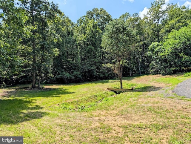 1032 Deal Pl, Amissville, VA 20106 - photo 32