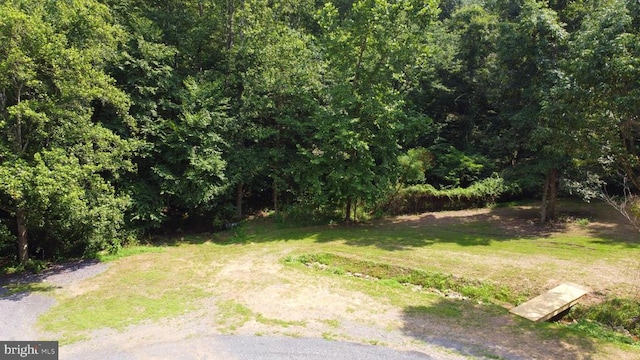 1032 Deal Pl, Amissville, VA 20106 - photo 39
