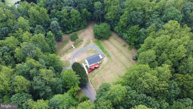 1032 Deal Pl, Amissville, VA 20106 - photo 63