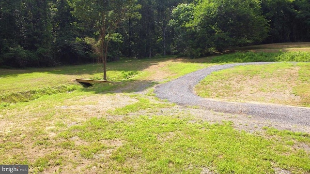 1032 Deal Pl, Amissville, VA 20106 - photo 49