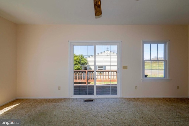 23217 Village Rd, Unionville, VA 22567 - photo 37
