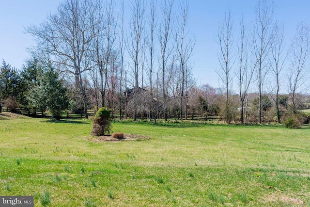 23217 Village Rd, Unionville, VA 22567 - photo 69