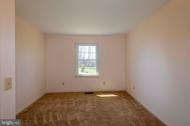23217 Village Rd, Unionville, VA 22567 - photo 38