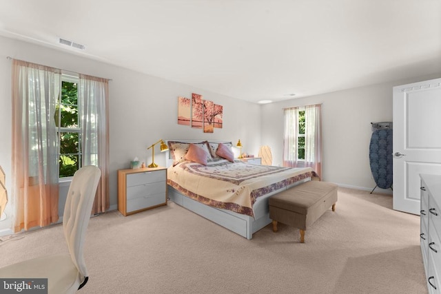 702 Monument Ln, Culpeper, VA 22701 - photo 27