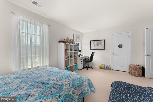 702 Monument Ln, Culpeper, VA 22701 - photo 24