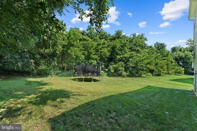 702 Monument Ln, Culpeper, VA 22701 - photo 40