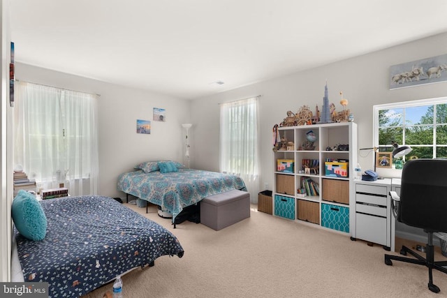 702 Monument Ln, Culpeper, VA 22701 - photo 23
