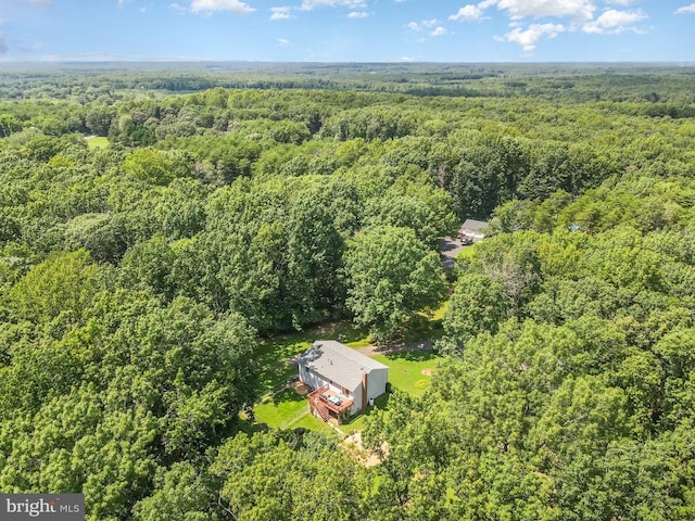 29454 Tatum Rd, Unionville, VA 22567 - photo 31