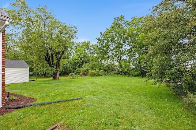 1435 Bluestone St, Harrisonburg, VA 22801 - view of green lawn featuring an outbuilding