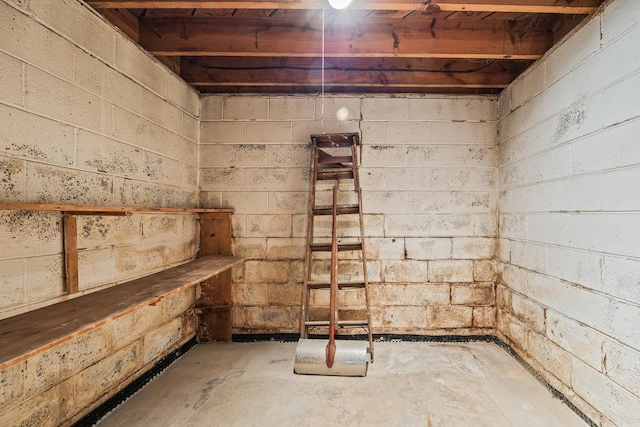 1435 Bluestone St, Harrisonburg, VA 22801 - view of storage