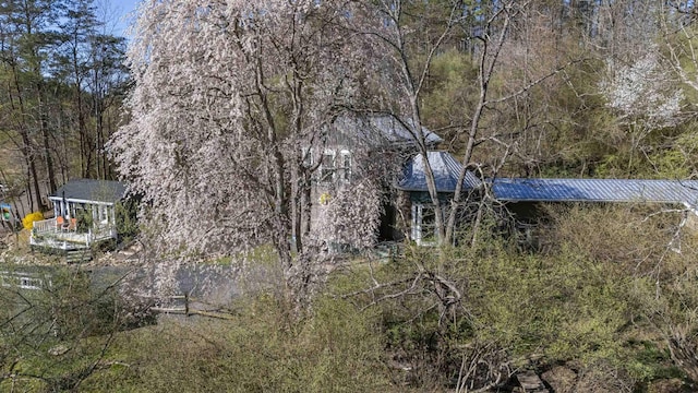 2665 Deerfield Valley Rd, Deerfield, VA 24432 - view of side of home with metal roof and a view of trees