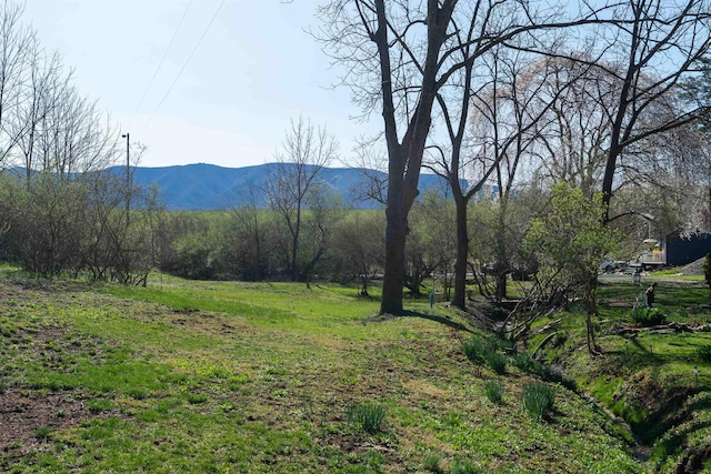 2665 Deerfield Valley Rd, Deerfield, VA 24432 - mountain view