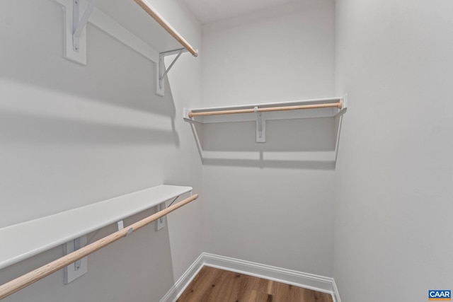 spacious closet featuring wood finished floors