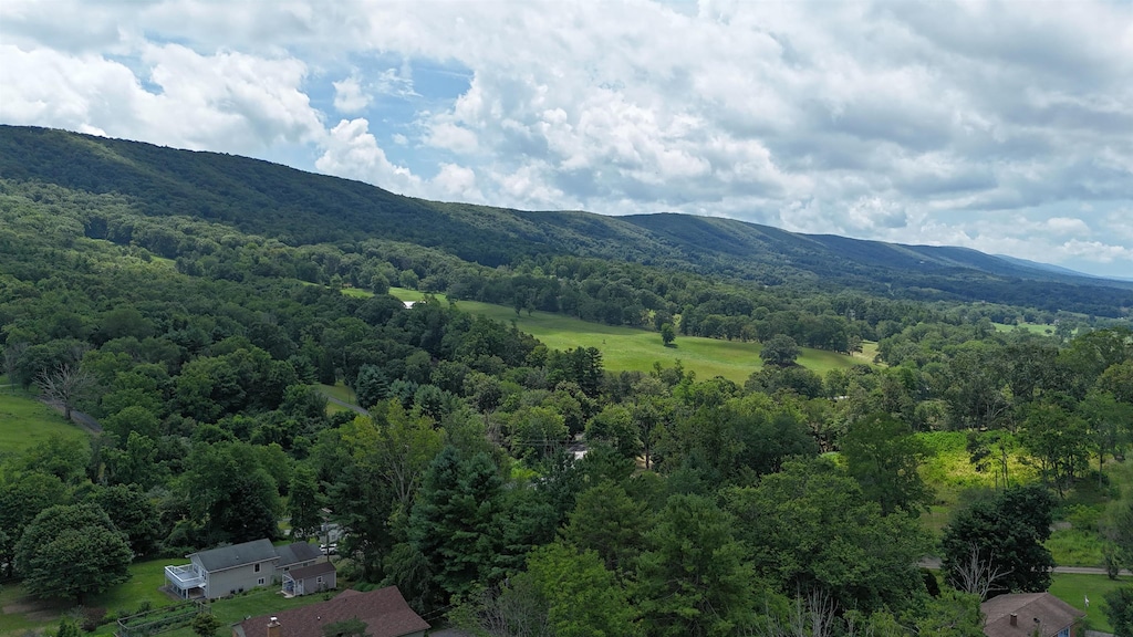 55 Roseloe Ln, Hot Springs, VA 24445 - photo 4