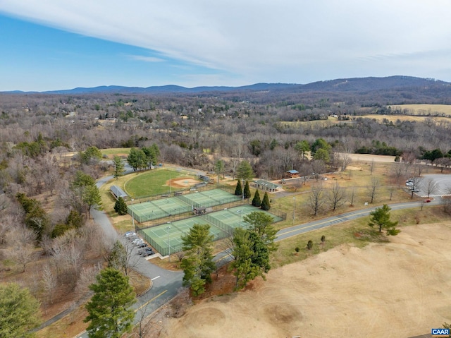 birds eye view of property with a mountain view
