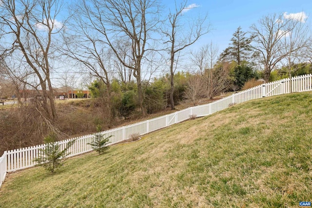 view of yard featuring a fenced backyard