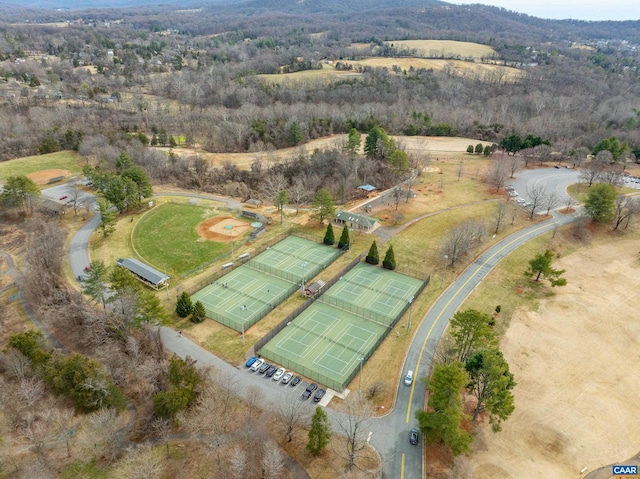bird's eye view
