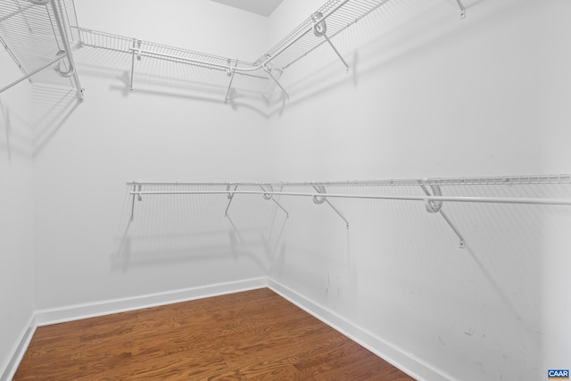 spacious closet featuring wood finished floors
