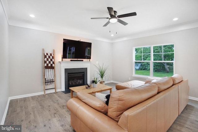 210 Powell St, Fredericksburg, VA 22408 - photo 7