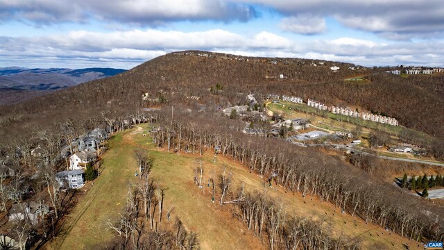 421 Blackrock Dr, Wintergreen Resort, VA 22967 - photo 10