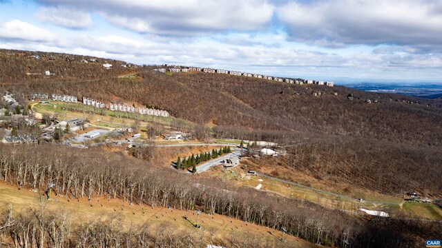 421 Blackrock Dr, Wintergreen Resort, VA 22967 - photo 9
