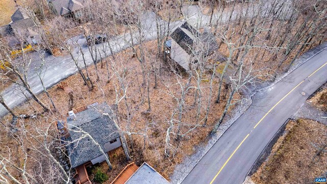 421 Blackrock Dr, Wintergreen Resort, VA 22967 - photo 4