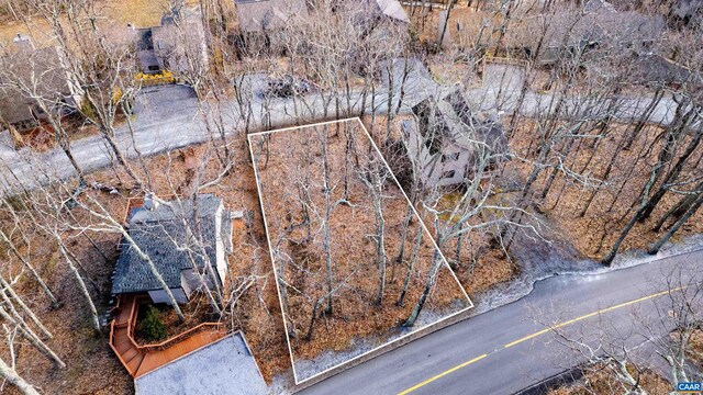 421 Blackrock Dr, Wintergreen Resort, VA 22967 - photo 3