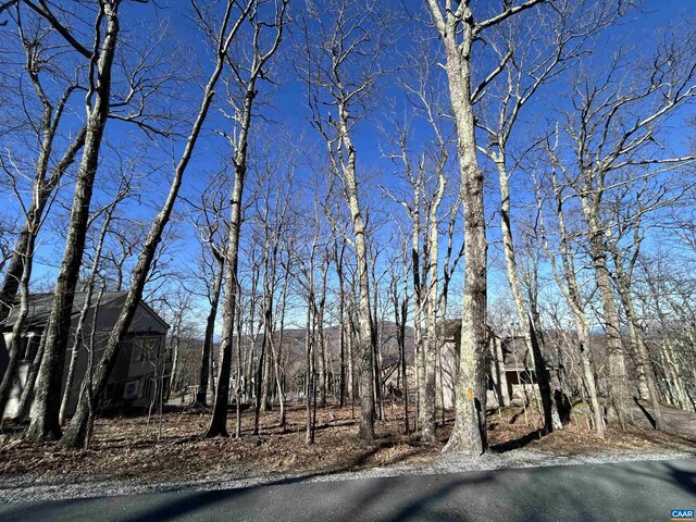 421 Blackrock Dr, Wintergreen Resort, VA 22967 - photo 13