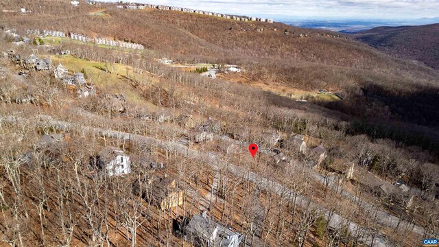 421 Blackrock Dr, Wintergreen Resort, VA 22967 - photo 7