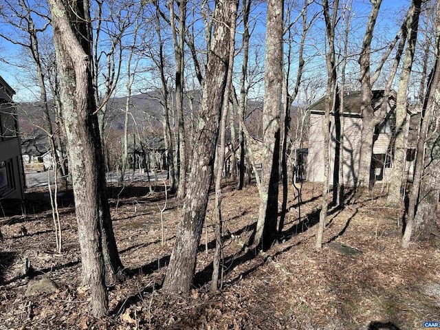 421 Blackrock Dr, Wintergreen Resort, VA 22967 - photo 11