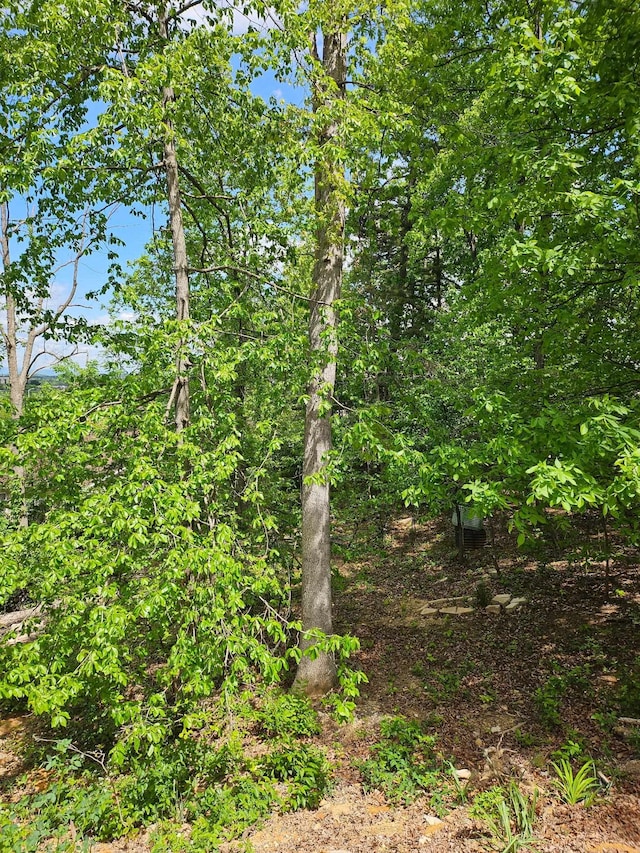0 Ridge View Ln, Elkton, VA 22827
